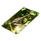 Dragonfly on the Twig Flexi Magnet (Côté Gauche)