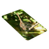 Dragonfly on the Twig Flexi Magnet (Côté Droit)