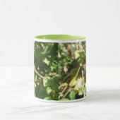 Dragonfly on Twig Mug (Centre)