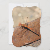 Dragonfly ontwerp met bruin feestdagenkaart (Achterkant)