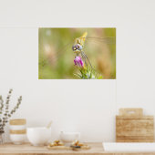 Dragonfly op bloem poster (Keuken)