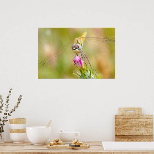 Dragonfly op bloem poster (Keuken)