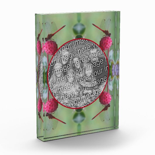 Dragonfly Op Dogwood Fruit Creëer Uw Eigen Fotoblokken (Links)