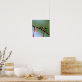 Dragonfly op draadhek dicht poster (Keuken)