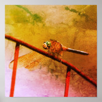 Dragonfly op draadhek gestoorde kunst