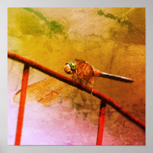 Dragonfly op draadhek gestoorde kunst poster