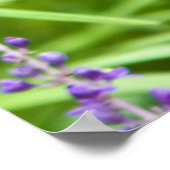 Dragonfly op een ventilator poster (Hoek)