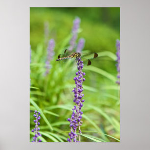 Dragonfly op een ventilator poster