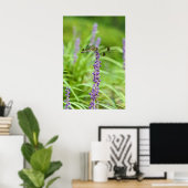 Dragonfly op een ventilator poster (Thuiskantoor)