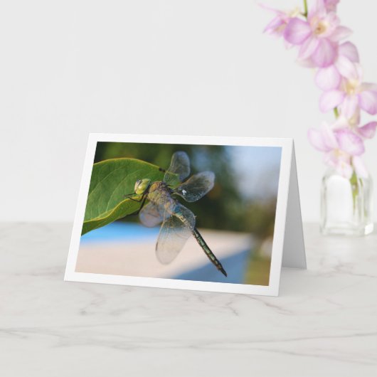 Dragonfly op Green Leaf Kaart (Orchidee)