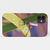 Dragonfly op regenblad Case-Mate iPhone case (Achterkant (horizontaal))