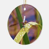 Dragonfly op regenblad keramisch ornament (Links)