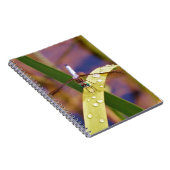 Dragonfly op regenblad notitieboek (Rechterzijde)