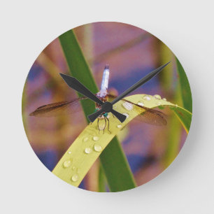 Dragonfly op regenblad ronde klok