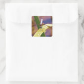 Dragonfly op regenblad vierkante sticker (Tas)