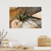 Dragonfly op Rest Poster (Keuken)