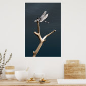 Dragonfly op Rest Poster (Keuken)