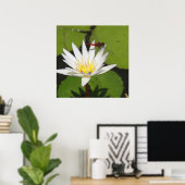 Dragonfly op Water Lily Poster (Thuiskantoor)
