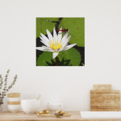 Dragonfly op Water Lily Poster (Keuken)
