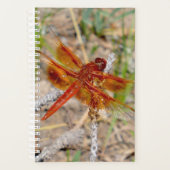 Dragonfly Orange du gestionnaire Sm (Devant)
