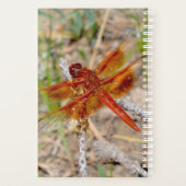 Dragonfly Orange du gestionnaire Sm (Dos)