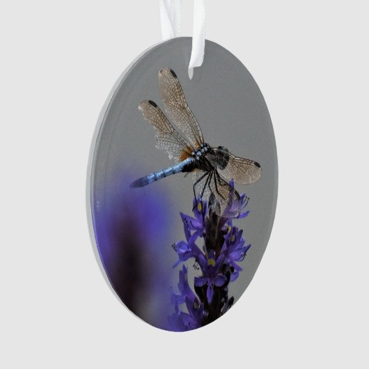 Dragonfly Ornament (voorkant)
