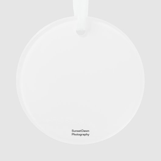 Dragonfly Ornament (achterkant)