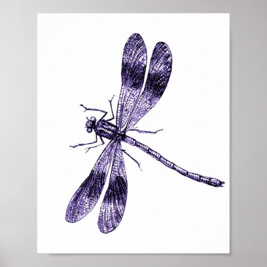 dragonfly - Paars Poster (Voorkant)