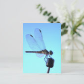 Dragonfly Perched Briefkaart (Staand voorkant)