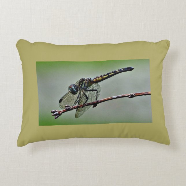 Dragonfly Pillow Accent Kussen (Voorkant)