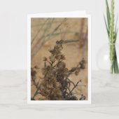 Dragonfly Portret Kaart (Voorkant)