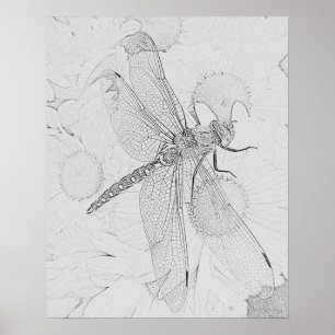 Dragonfly Poster