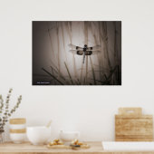 Dragonfly Poster (Keuken)