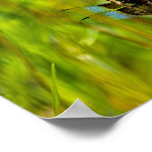 Dragonfly Poster (Hoek)