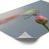 Dragonfly Poster (Hoek)