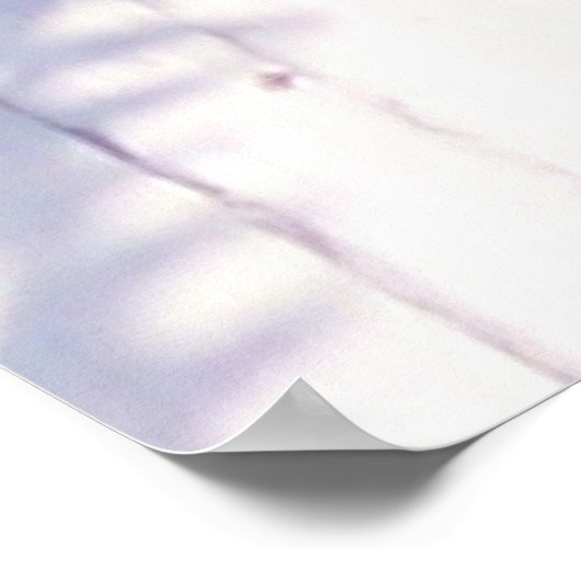 Dragonfly Poster (Hoek)