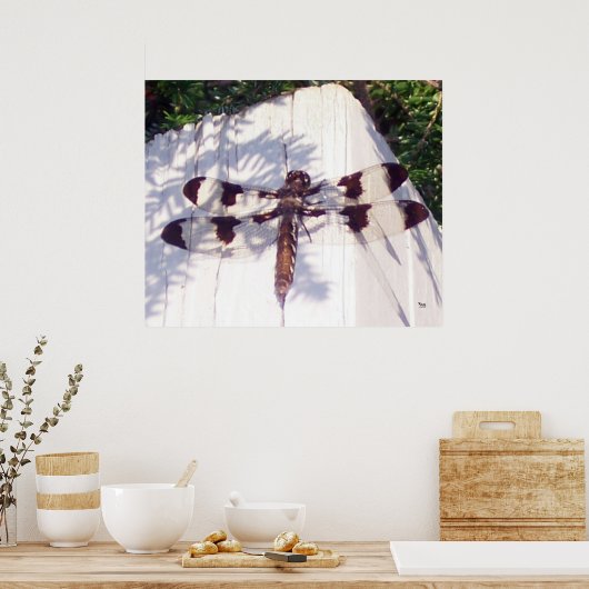 Dragonfly Poster (Keuken)
