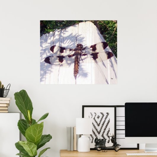 Dragonfly Poster (Thuiskantoor)