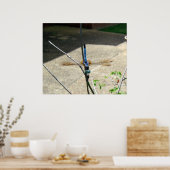 Dragonfly Poster (Keuken)