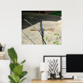 Dragonfly Poster (Thuiskantoor)