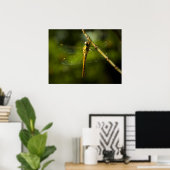 Dragonfly Poster (Thuiskantoor)