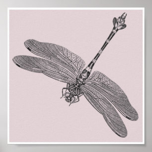 Dragonfly Poster