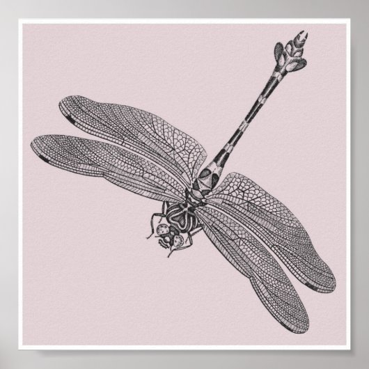 Dragonfly Poster (Voorkant)