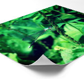 Dragonfly Poster (Hoek)