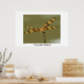 Dragonfly Poster afdrukken (Keuken)