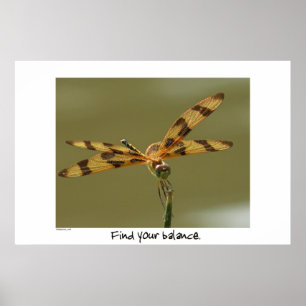 Dragonfly Poster afdrukken