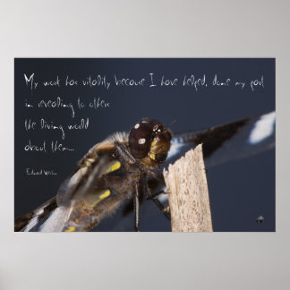 Dragonfly-Poster inspireren Poster