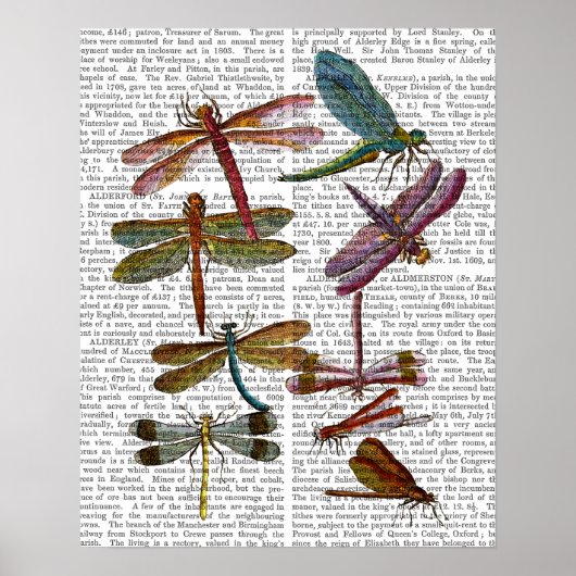 Dragonfly Print 4 (Voorkant)