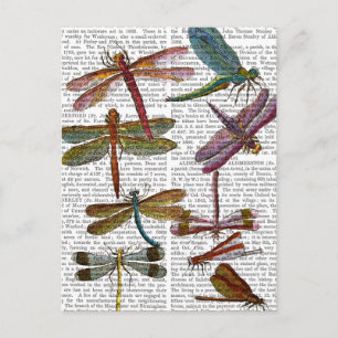 Dragonfly Print 4 Briefkaart