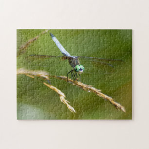 Dragonfly Puzzle Legpuzzel